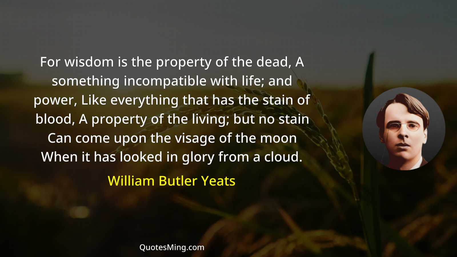 For wisdom is the property of the dead A something