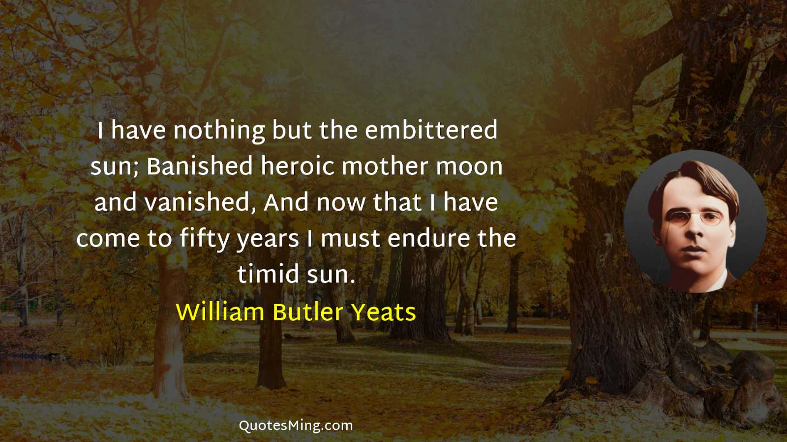 I have nothing but the embittered sun; Banished heroic mother