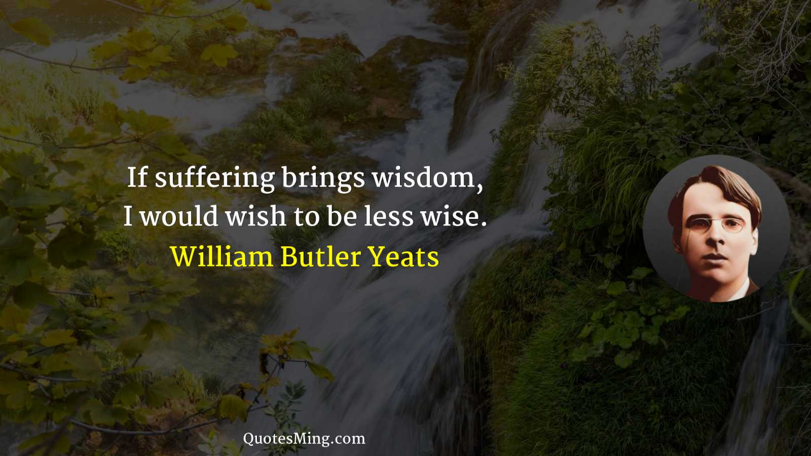 If suffering brings wisdom I would wish to be less