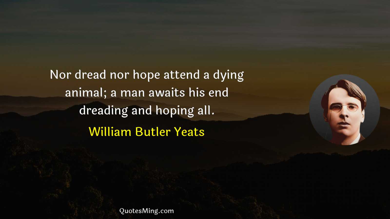 Nor dread nor hope attend a dying animal; a man