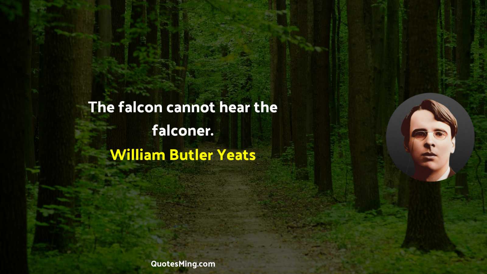 The falcon cannot hear the falconer