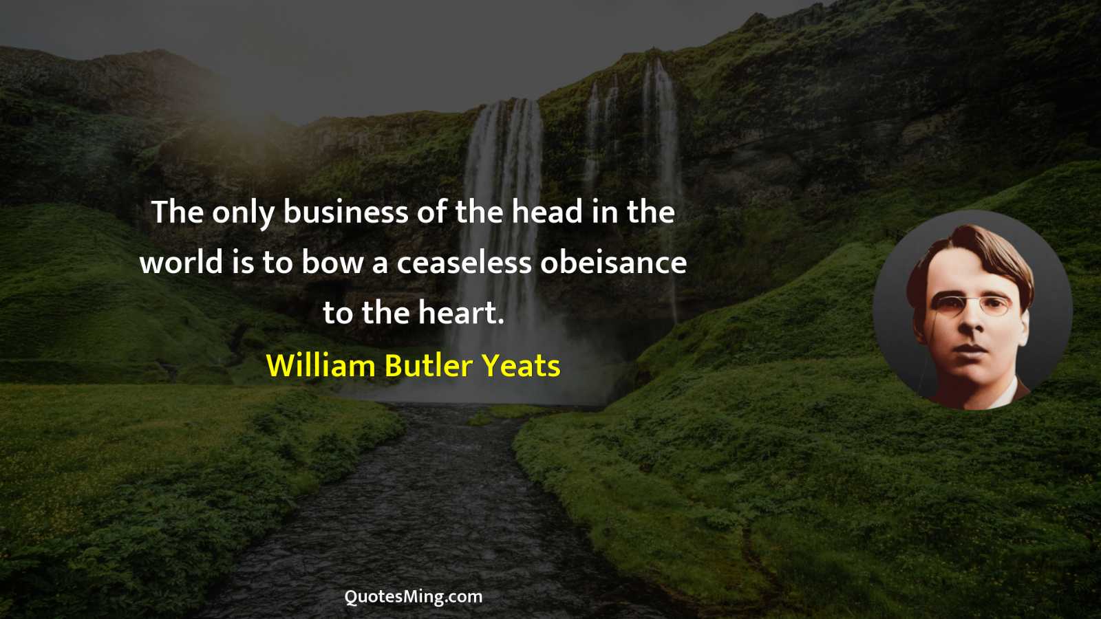 The only business of the head in the world is