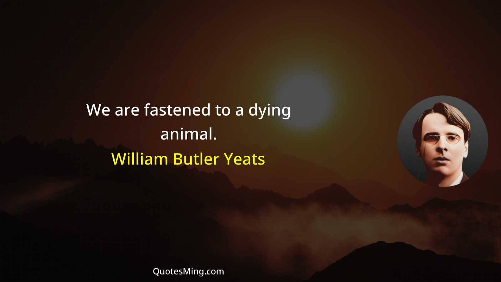 We are fastened to a dying animal