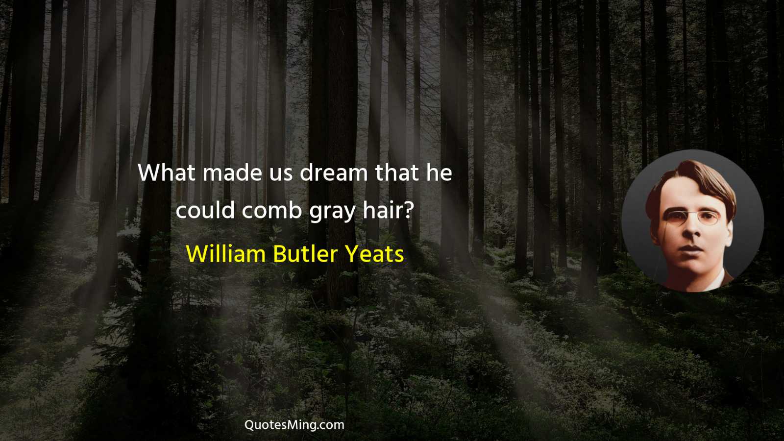 What made us dream that he could comb gray hair?