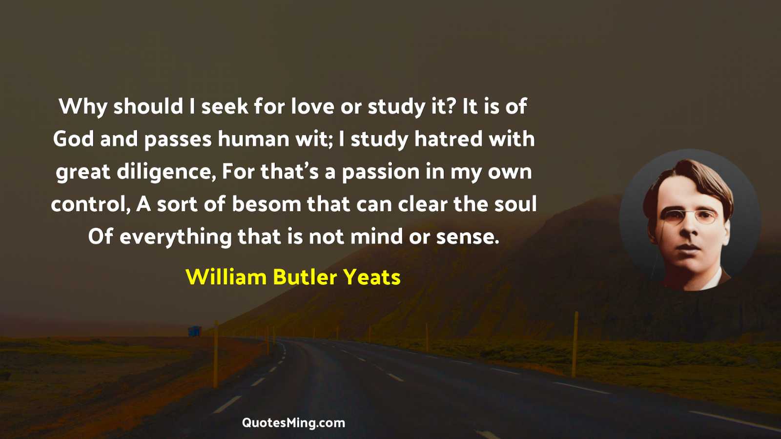 Why should I seek for love or study it? It