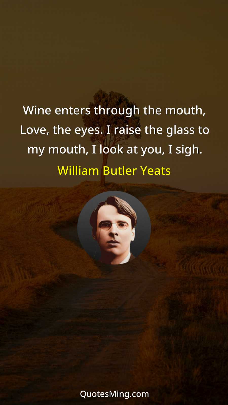 Wine enters through the mouth Love the eyes I raise