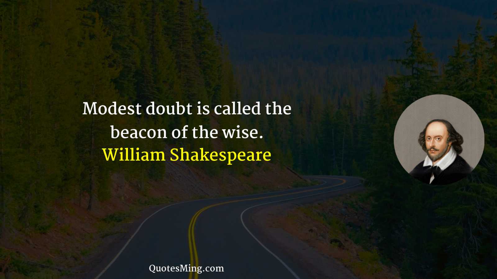 Modest doubt is called the beacon of the wise