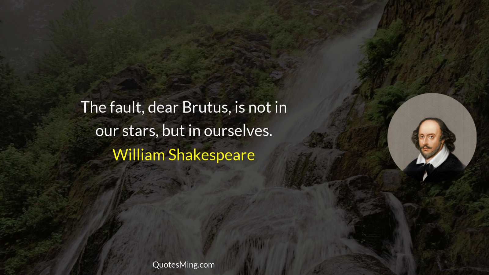 The fault dear Brutus is not in our stars but