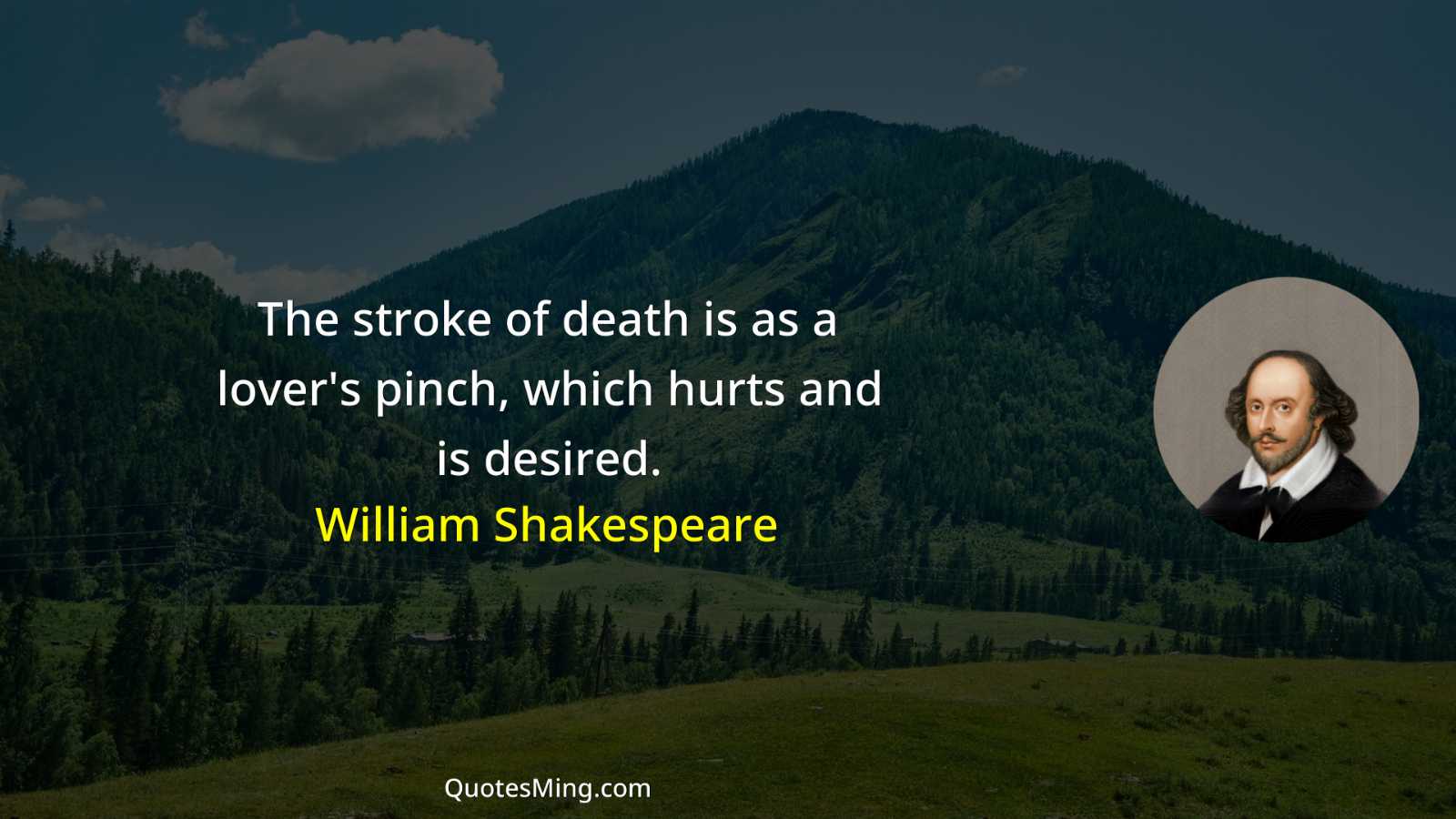 The stroke of death is as a lover's pinch which