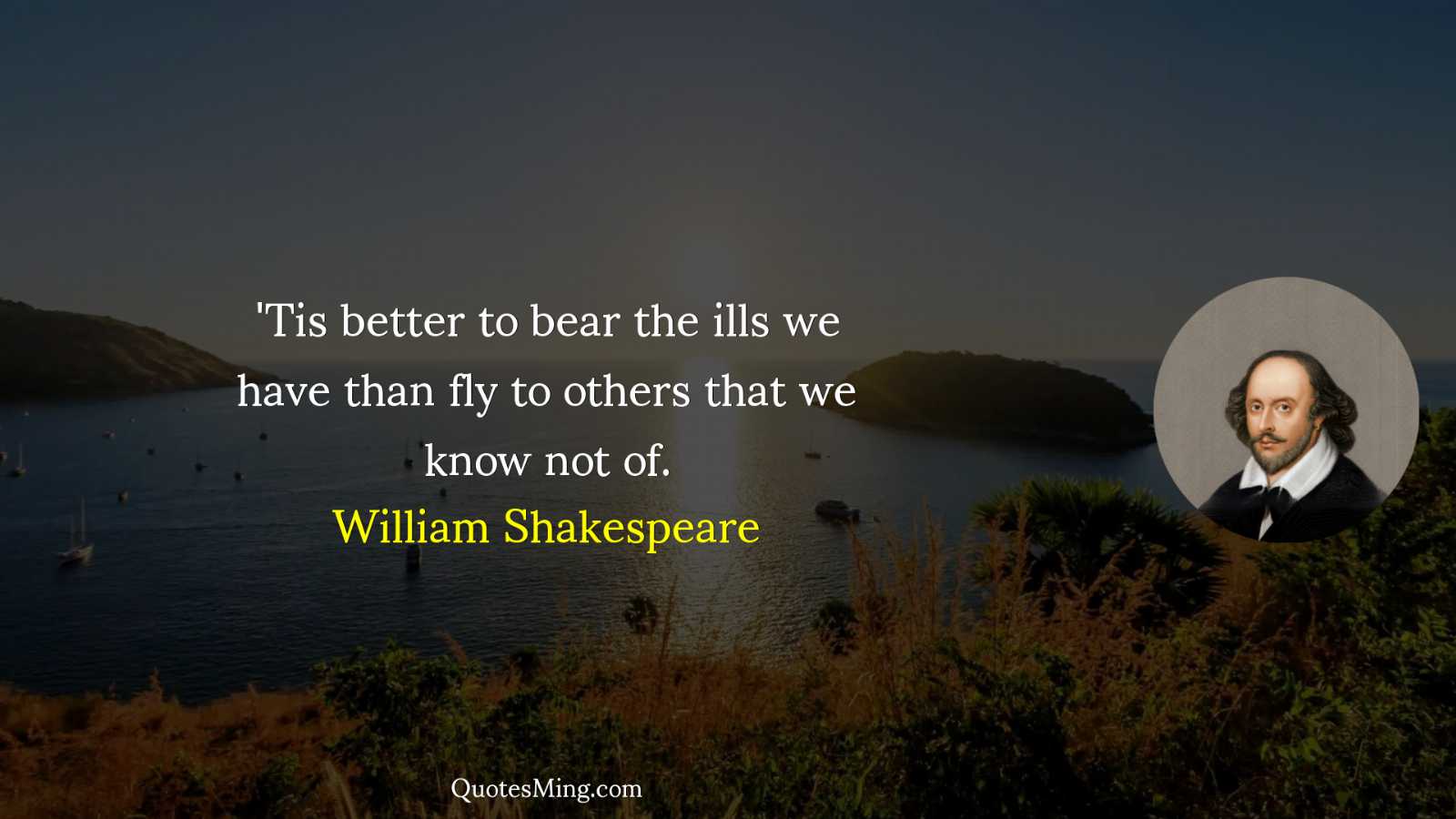 'Tis better to bear the ills we have than fly