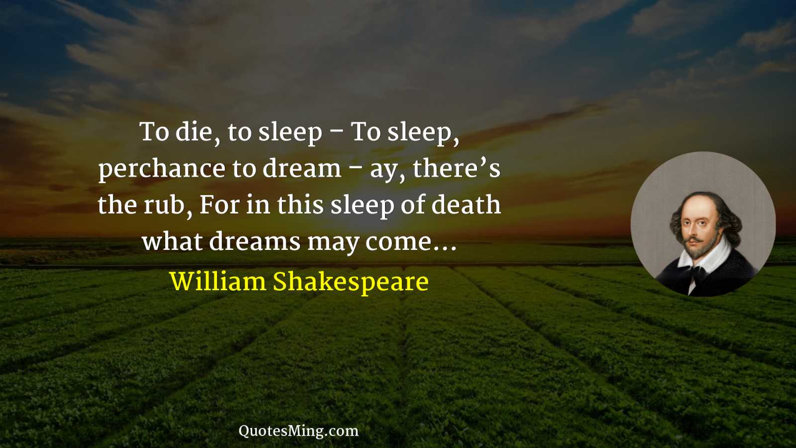 To die to sleep – To sleep perchance to dream