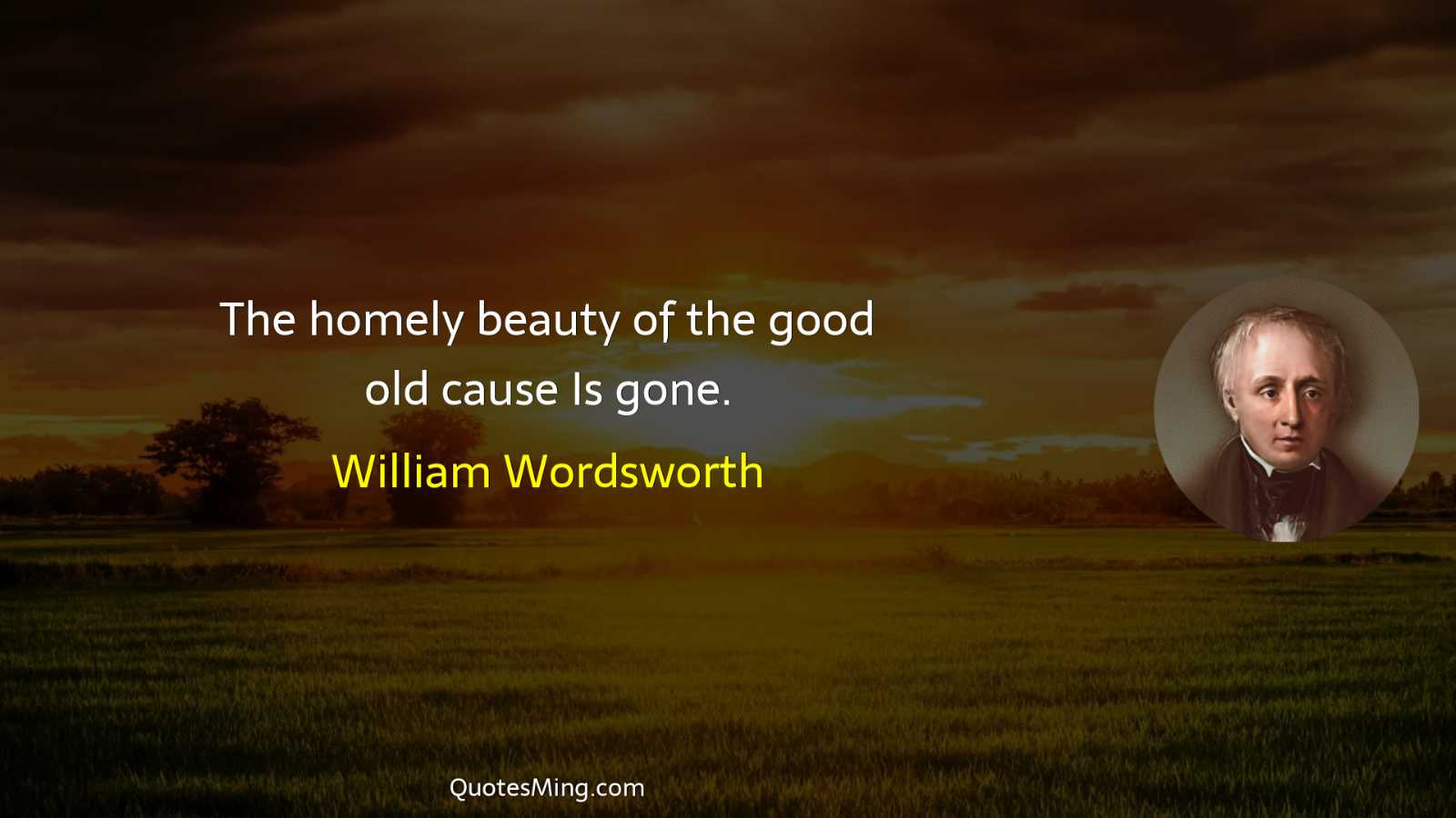 The homely beauty of the good old cause Is gone