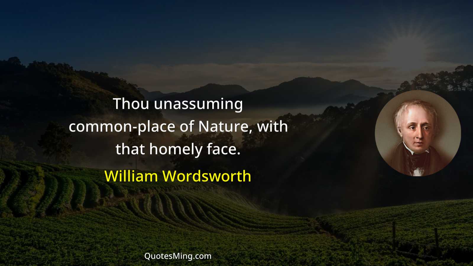 Thou unassuming common-place of Nature with that homely face