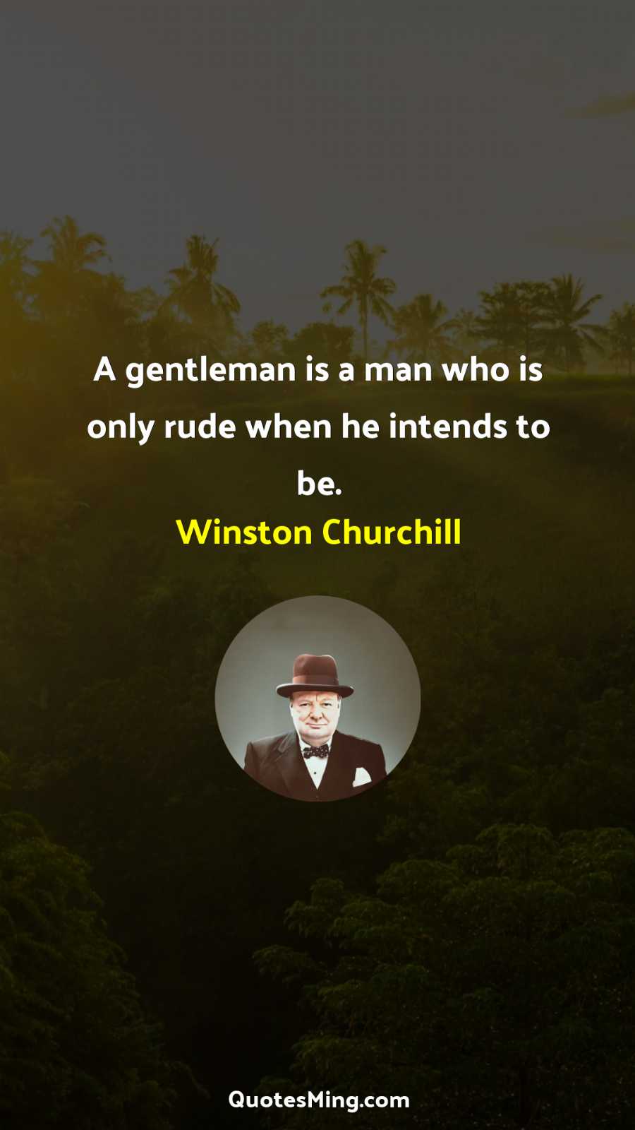 A gentleman is a man who is only rude when