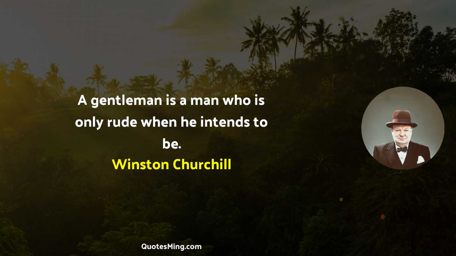 A gentleman is a man who is only rude when