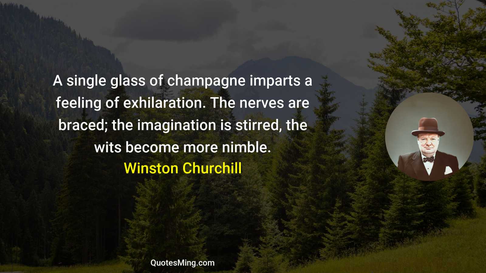 A single glass of champagne imparts a feeling of exhilaration