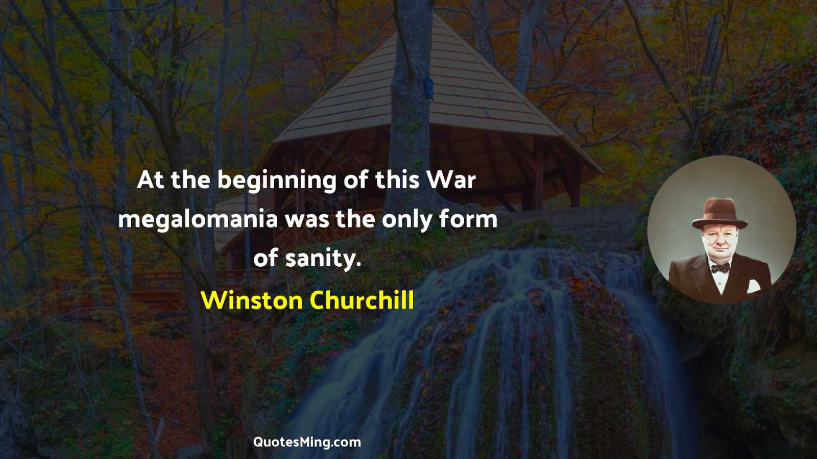 At the beginning of this War megalomania was the only