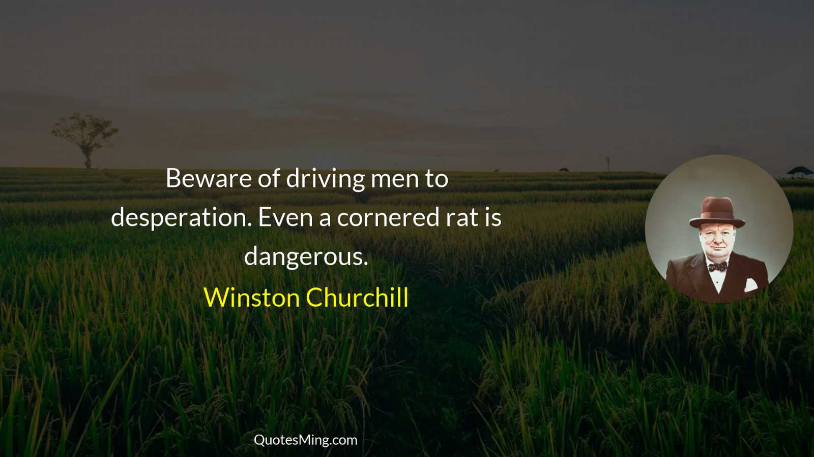 Beware of driving men to desperation Even a cornered rat