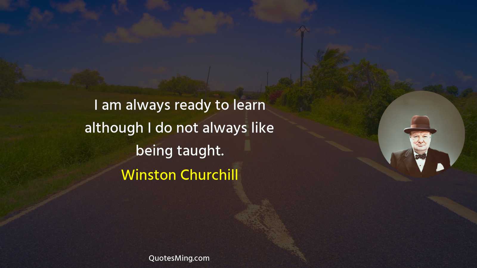 I am always ready to learn although I do not