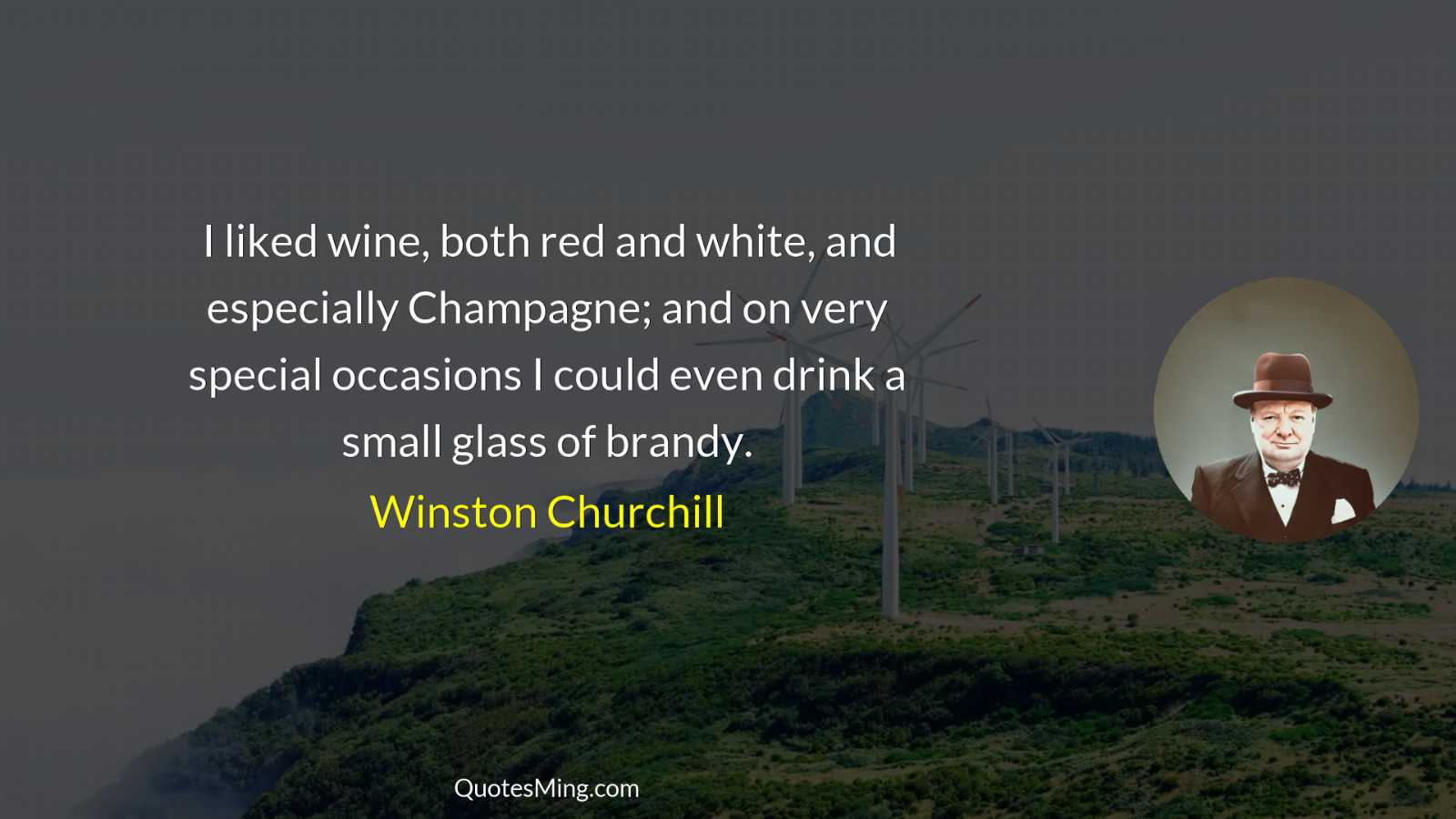 I liked wine both red and white and especially Champagne;