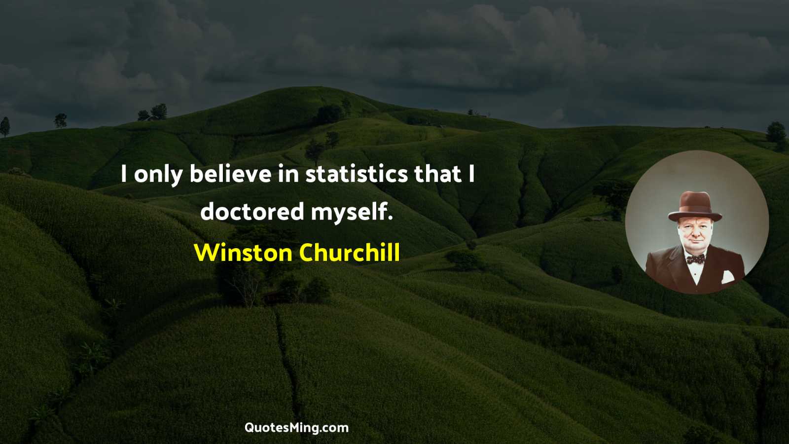 I only believe in statistics that I doctored myself