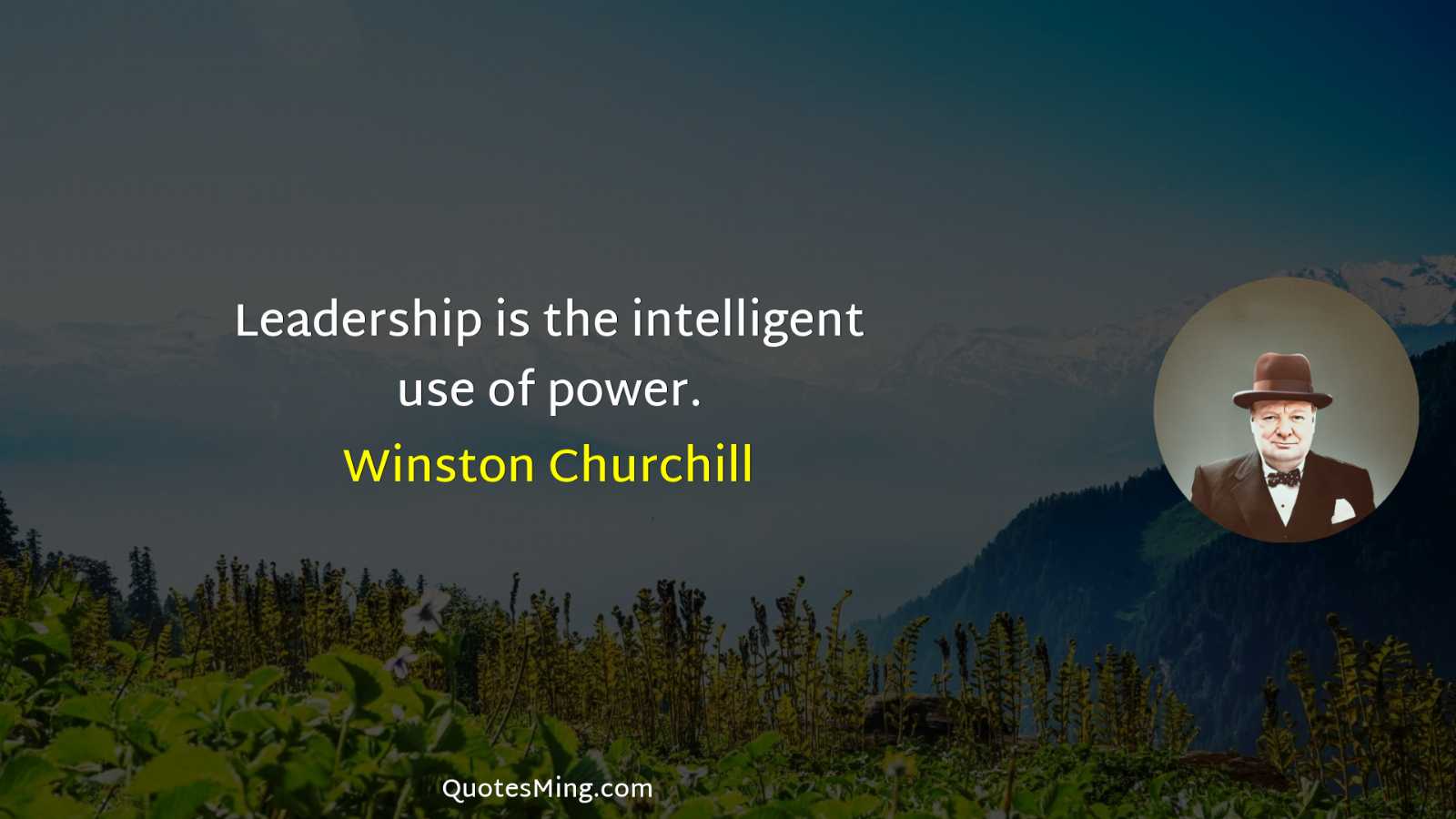 Leadership is the intelligent use of power