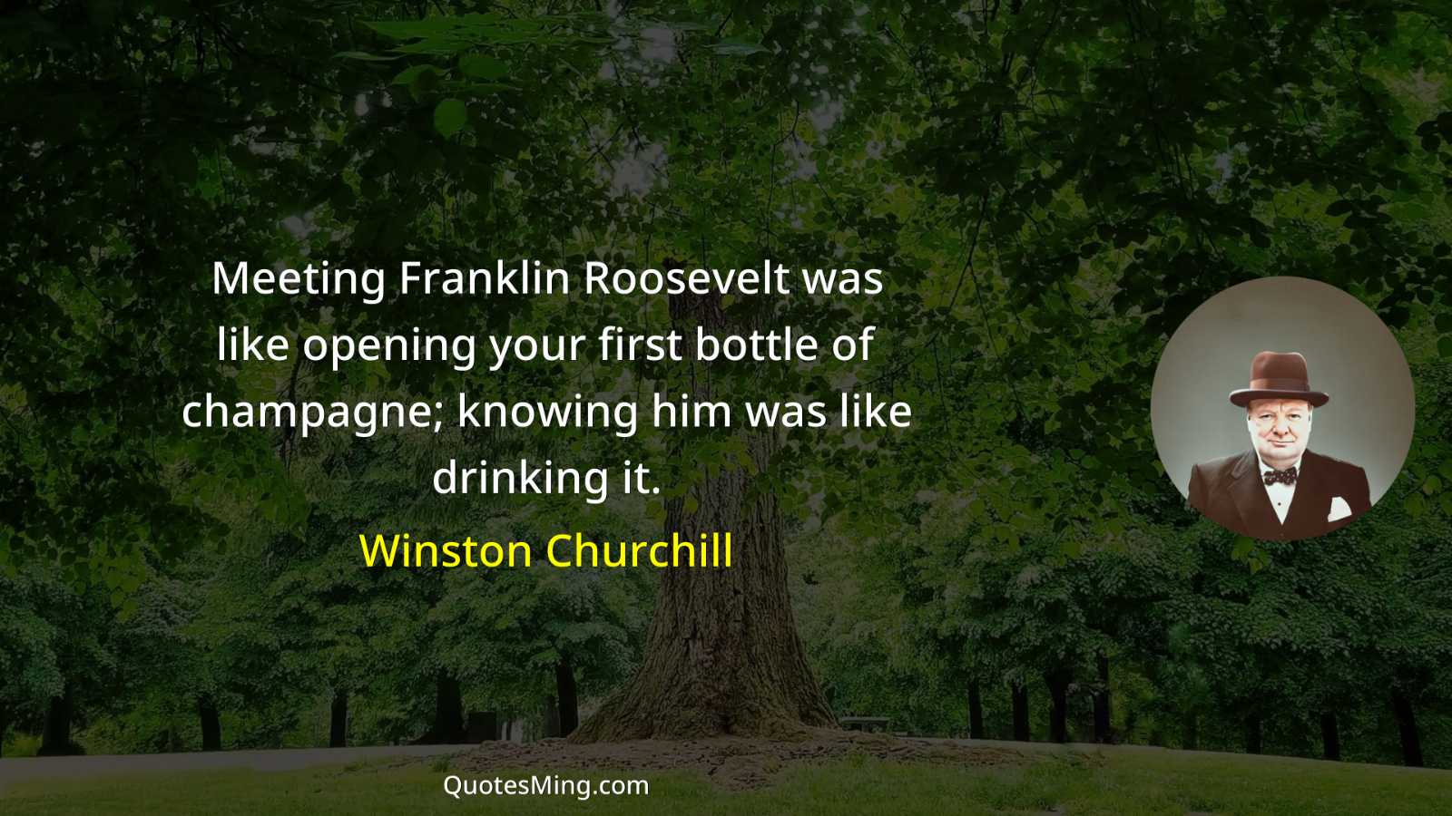 Meeting Franklin Roosevelt was like opening your first bottle of