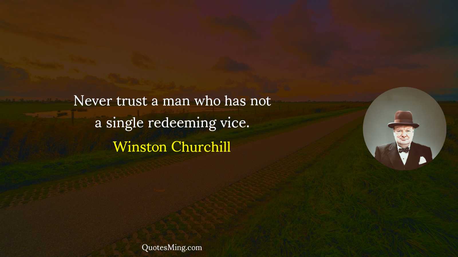 Never trust a man who has not a single redeeming