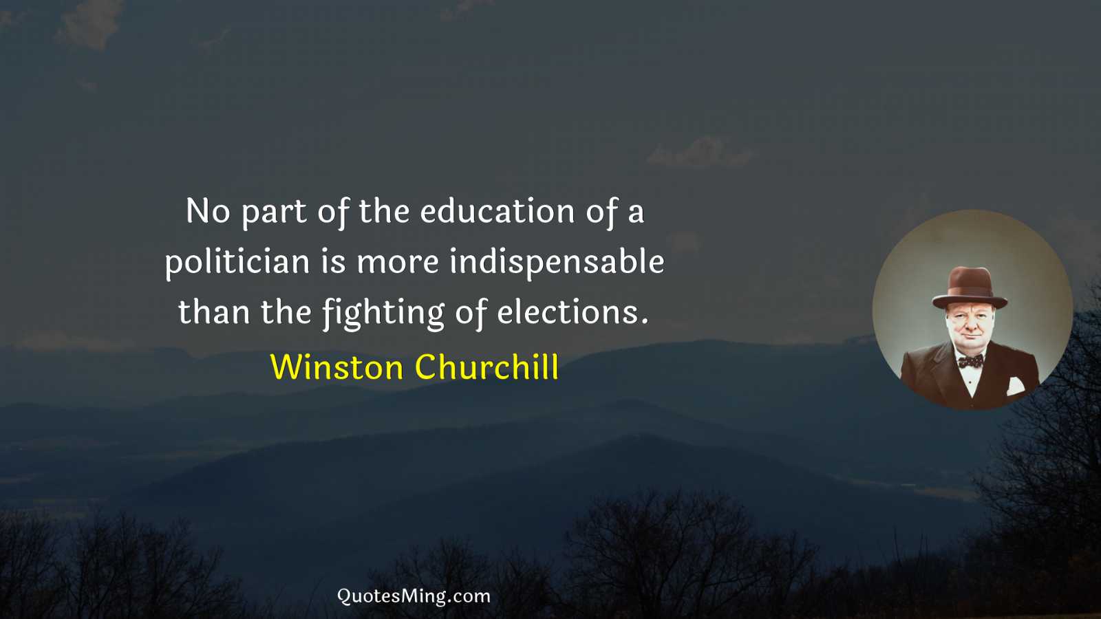 No part of the education of a politician is more