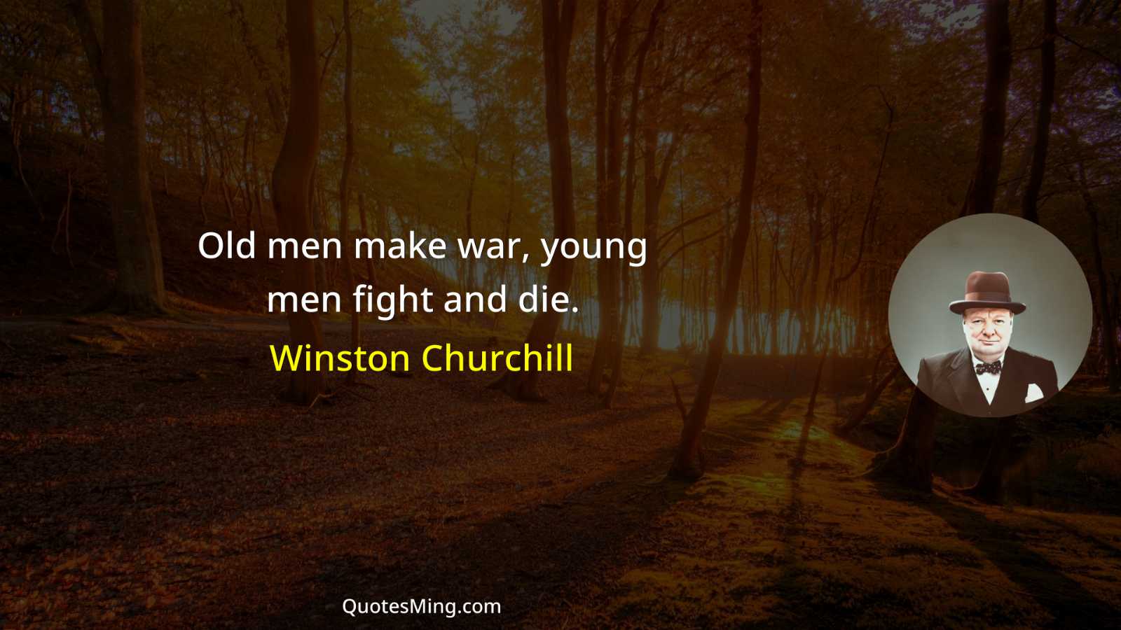 Old men make war young men fight and die