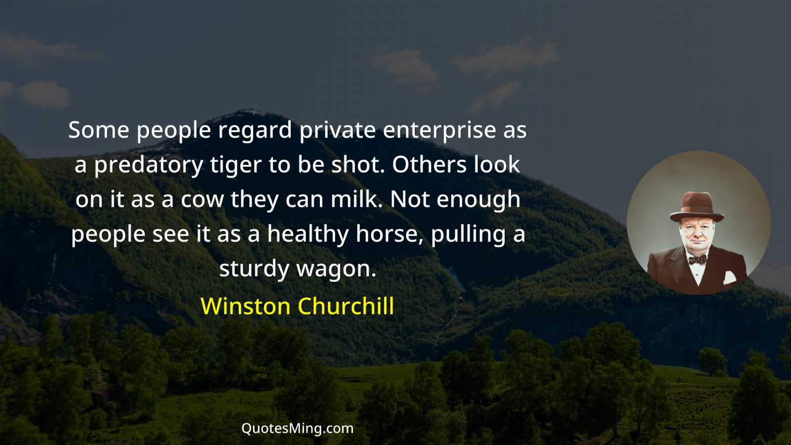 Some people regard private enterprise as a predatory tiger to