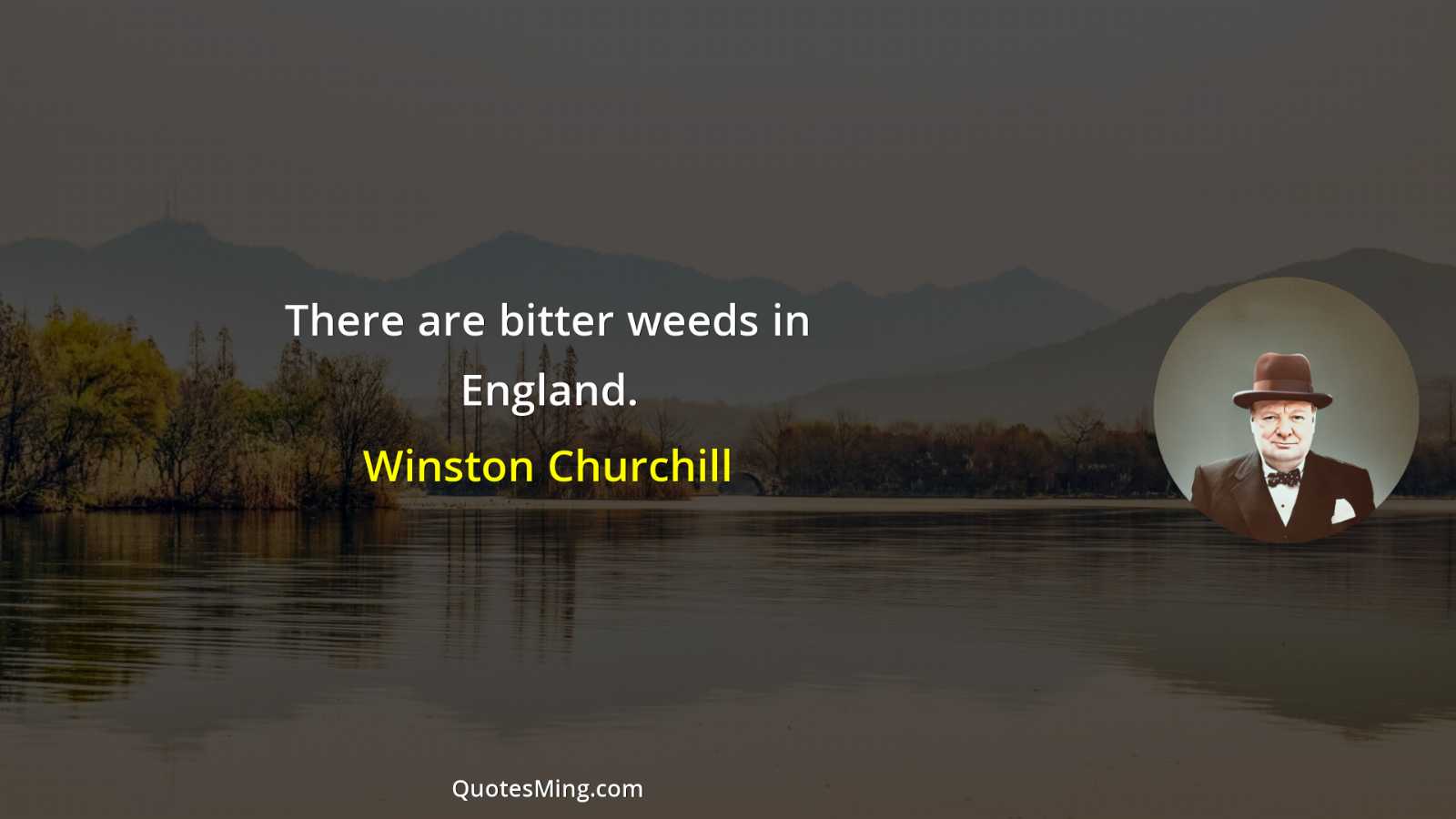 There are bitter weeds in England