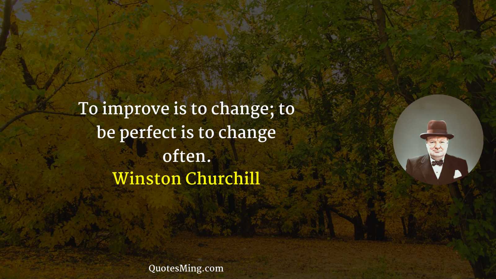 To improve is to change; to be perfect is to