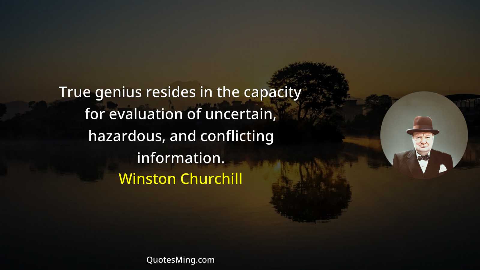 True genius resides in the capacity for evaluation of uncertain