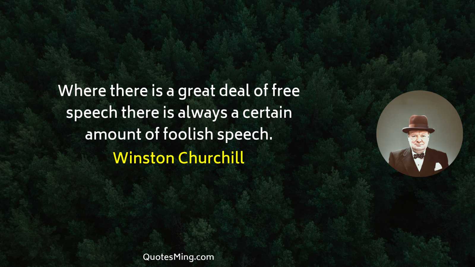 Where there is a great deal of free speech there